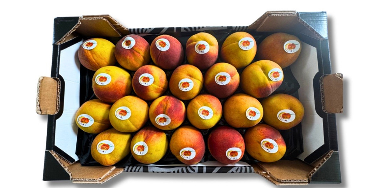 Eco Farm OP valorizza la Pesca di Delia IGP con etichette green firmate Carby Label